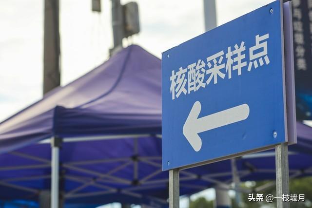 南京限牌最新动态，科技重塑出行，引领未来生活潮流官方消息发布