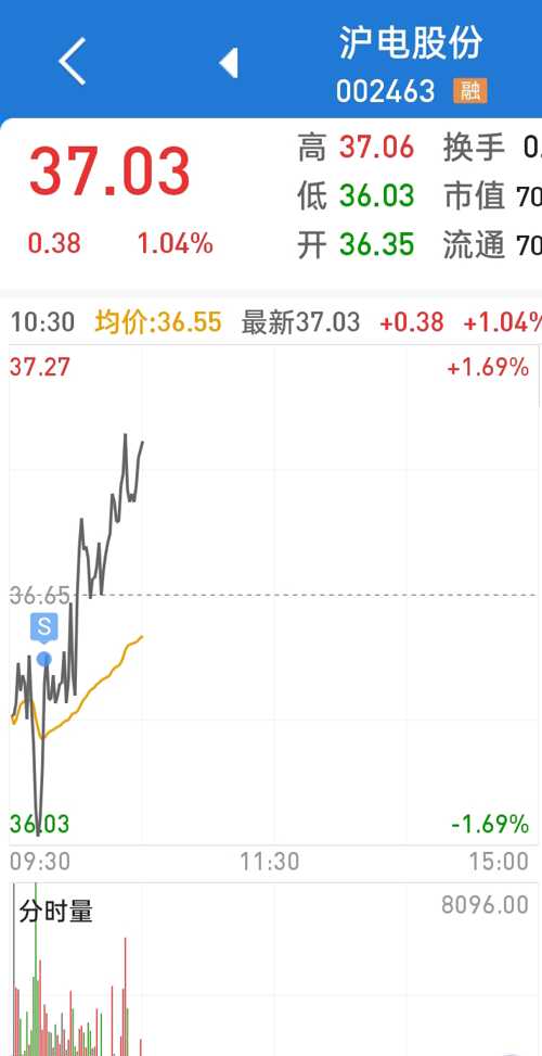 揭秘股市新星，沪电股份行情火热🔥
