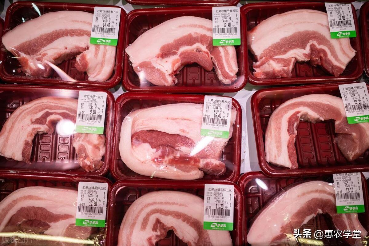 猪肉价格走势分析/预测报告