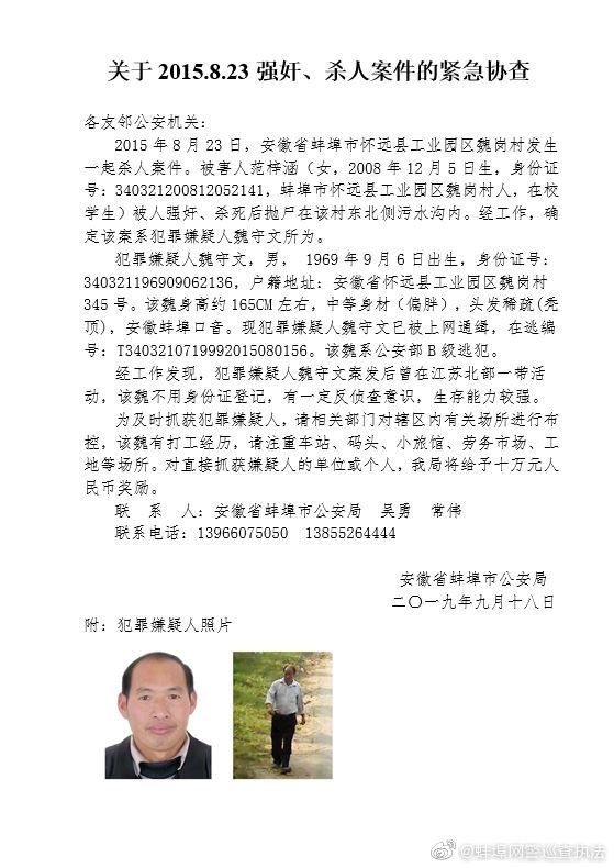 最新杀人新闻报道，悲剧背后的深度探究