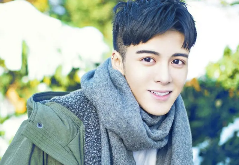 明星志愿,大明星的温馨日常记录