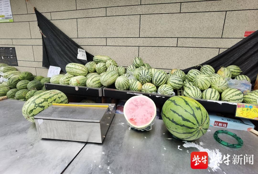 最新无籽西瓜价格行情，学习变化，拥抱自信与成就之路
