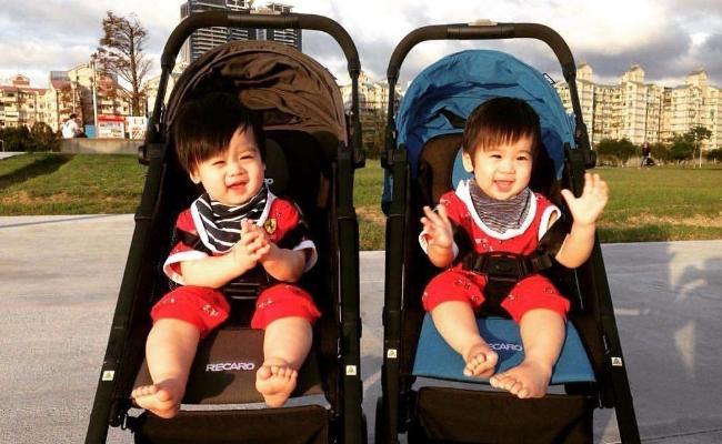 明星龙凤胎与探索自然美景的奇妙之旅