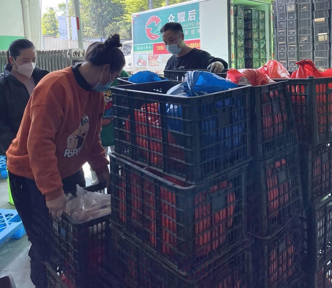 肺炎地图最新更新与巷弄深处的独特小店探秘