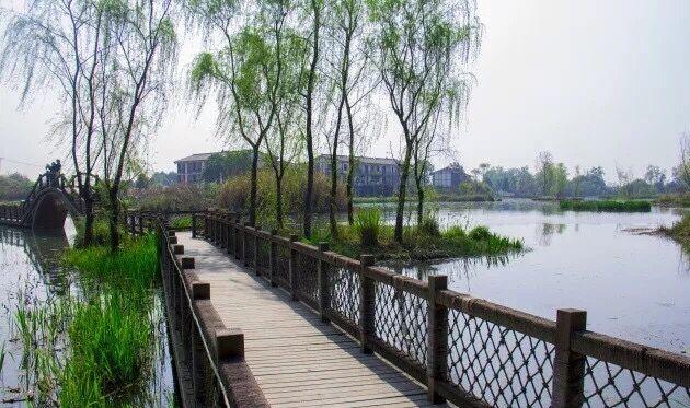 温江万春最新发展计划揭秘，自然美景探索之旅启动