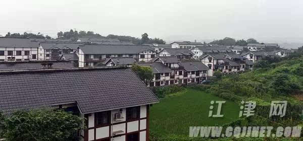 江津区龙华镇最新资讯全掌握，资讯获取指南