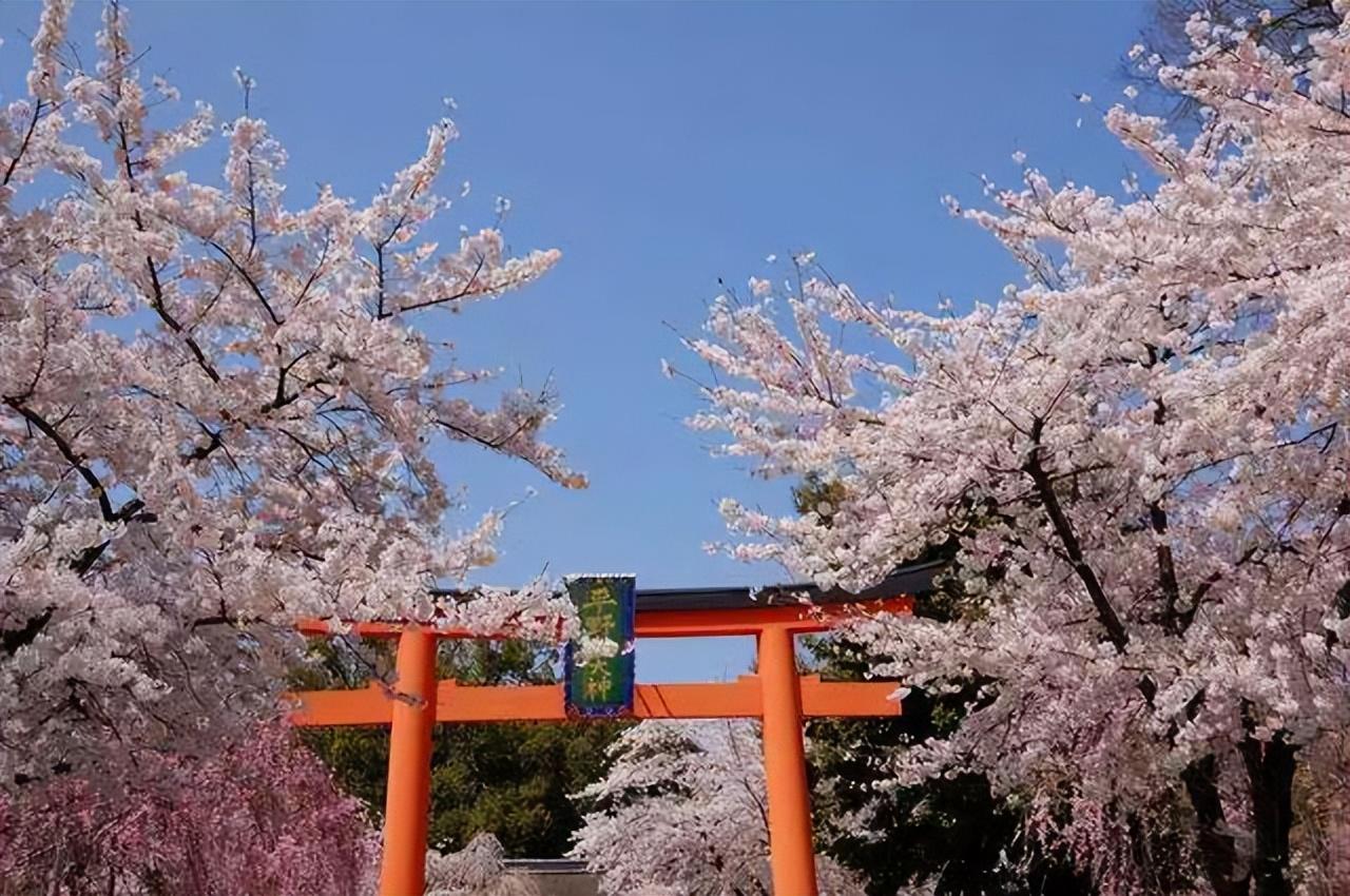 日本旅游资讯更新，探索自然美景，寻找内心宁静与平和之旅