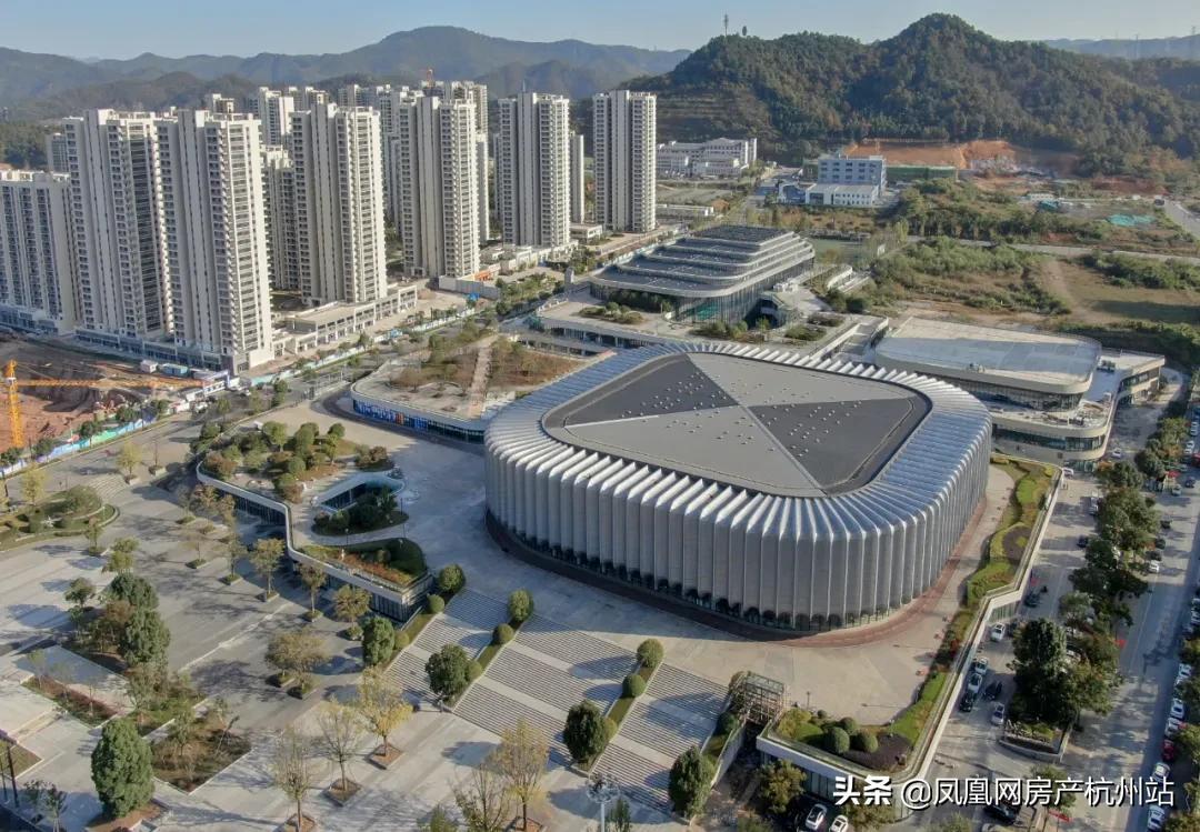临安最新城市规划，描绘绿色共生与未来繁荣蓝图
