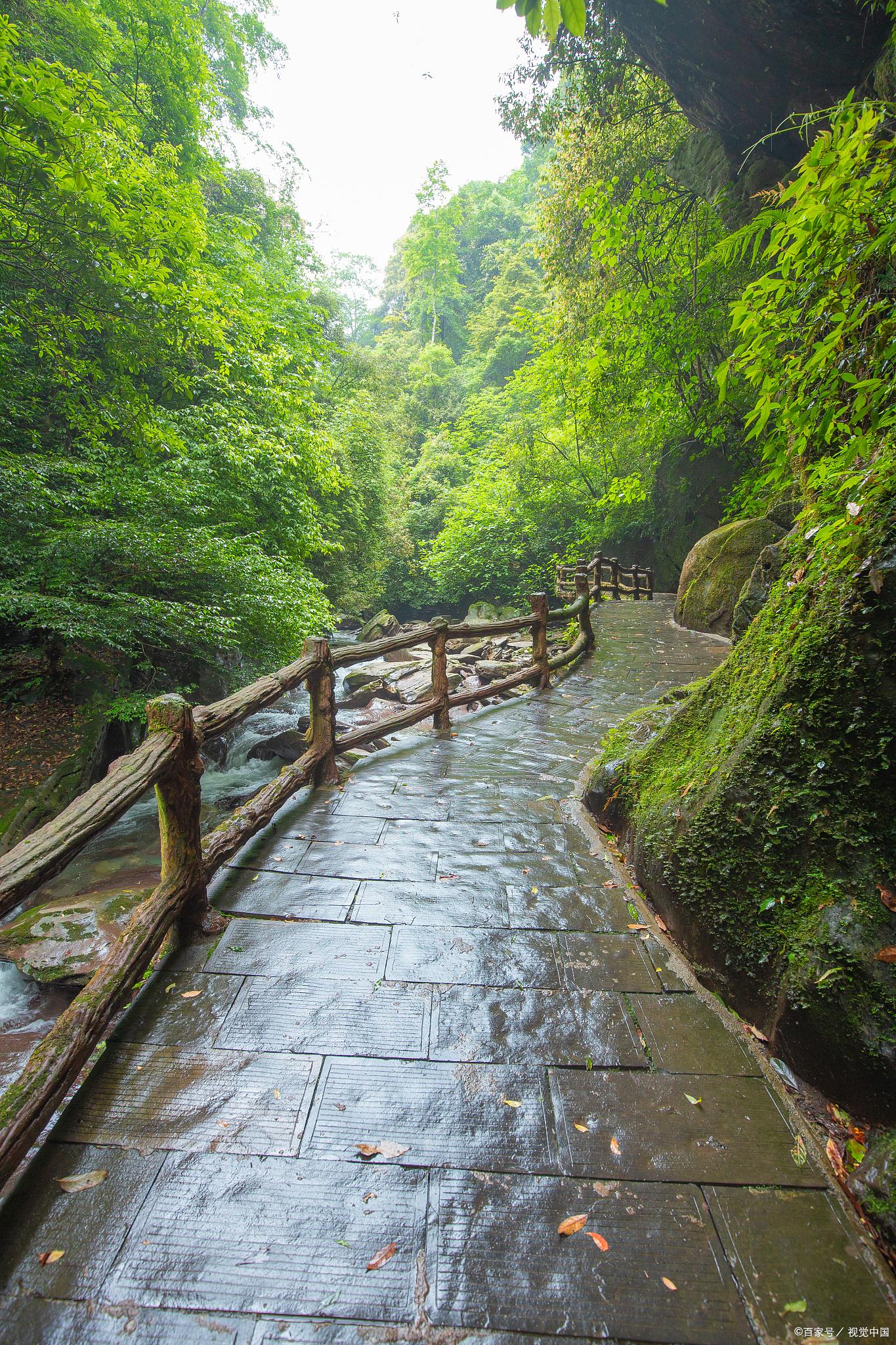 最新歌曲歌词推荐，与自然美景的旅行对话之旅