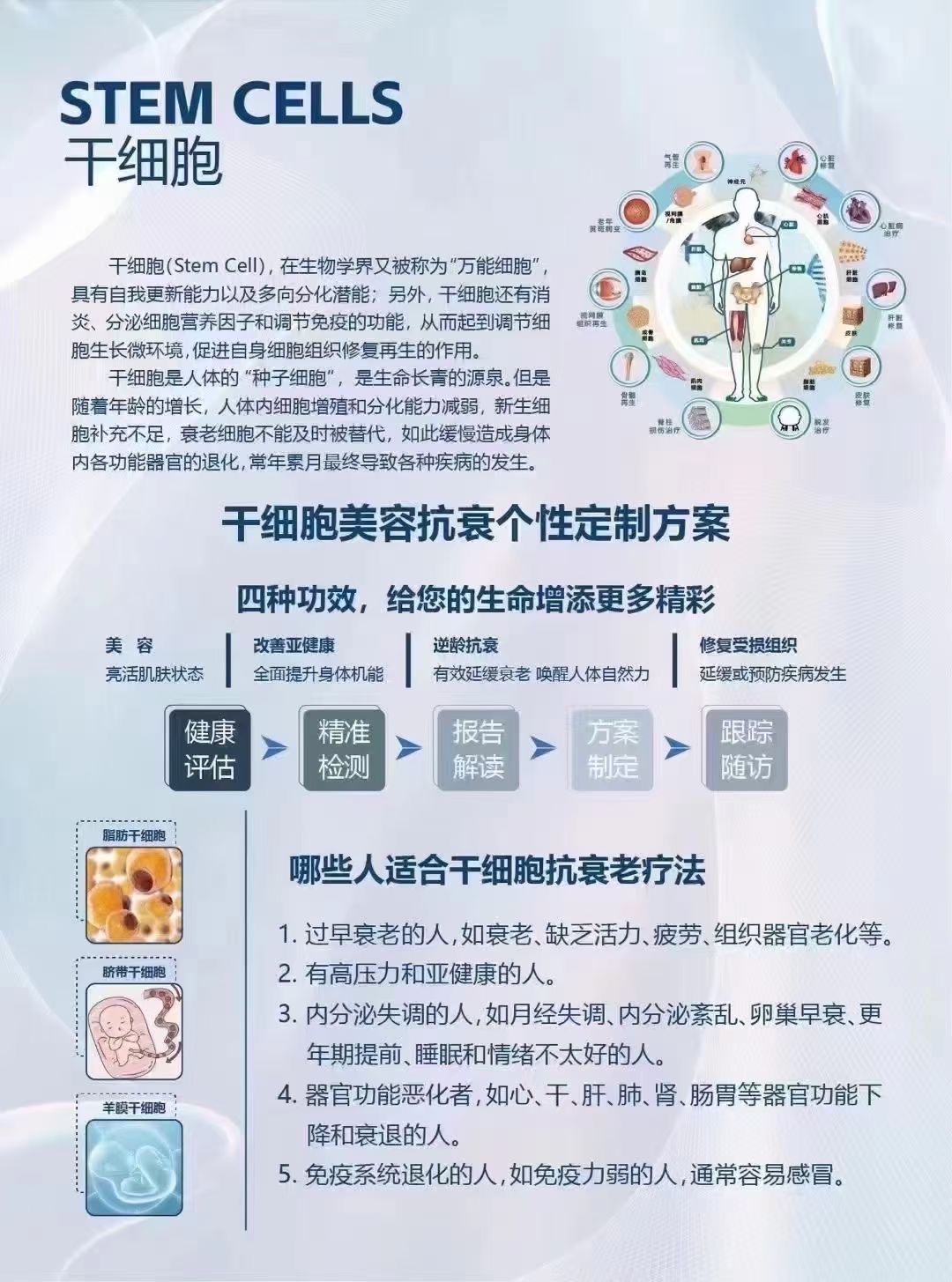 餐饮全案设计 第247页