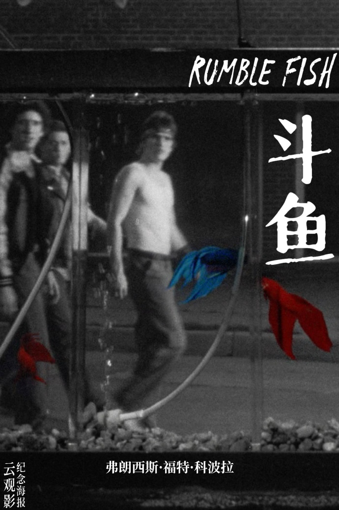 斗鱼电影院观影指南，从入门到精通的观影体验