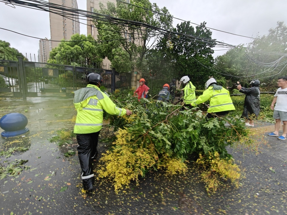 台风贝碧嘉最新动态，探索自然美景的轻松旅行之旅