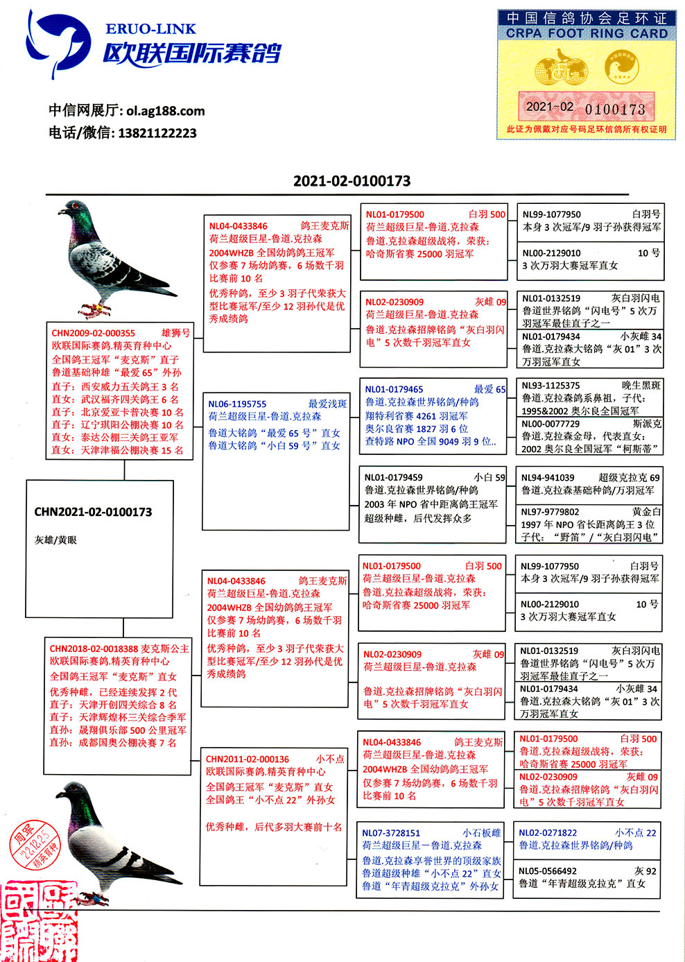 鸽价最新信息及概览