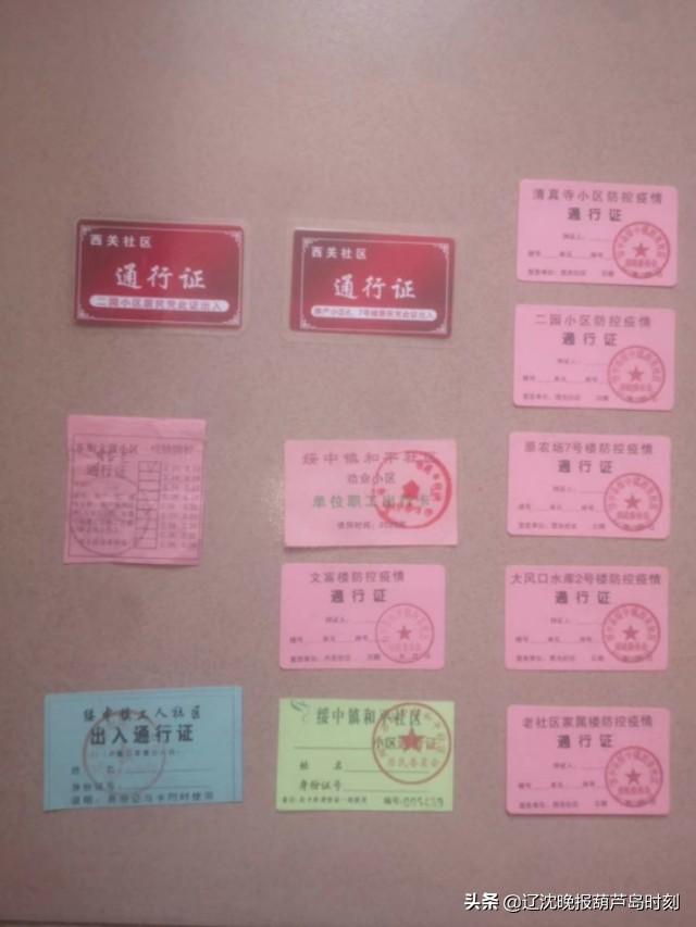 葫芦岛最新疫情动态更新