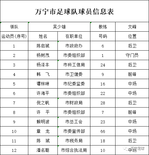 上港比赛赛程，激情足球与小巷深处的独特风情展示