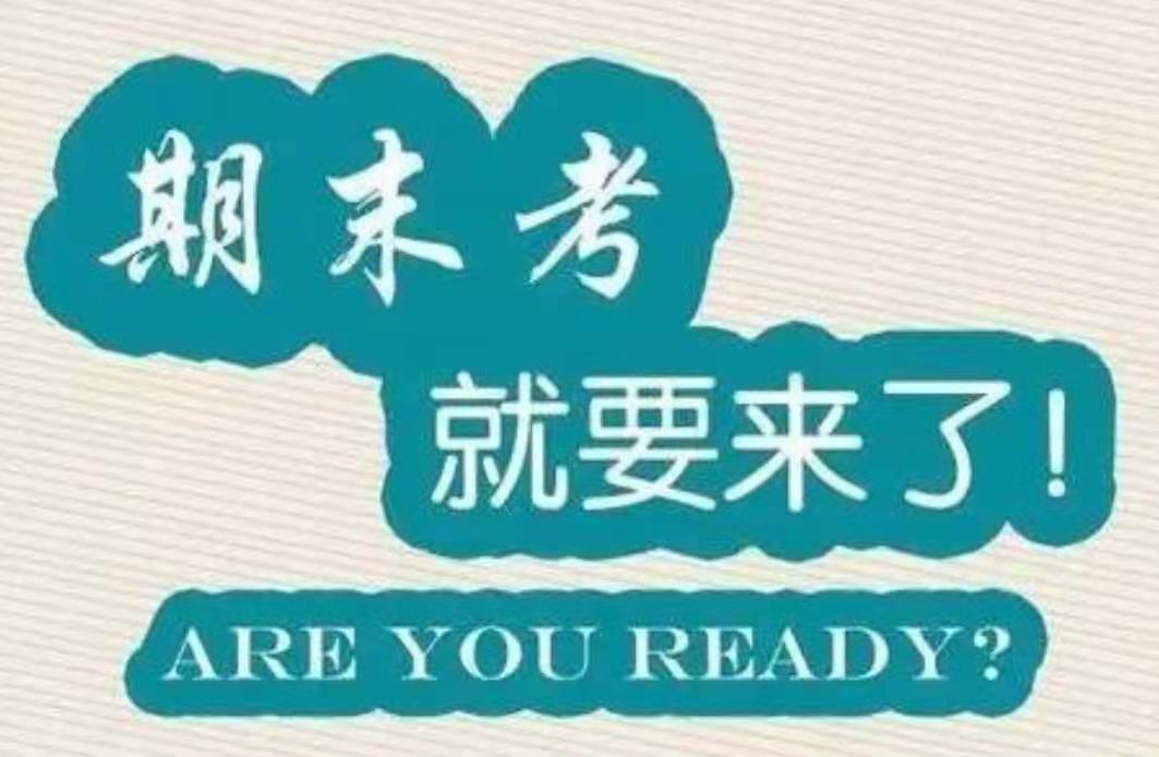 沈南汐的最新学习之旅，自信与成就感的源泉，探索变化中的成长之路