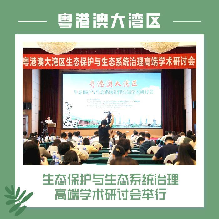 粤融贷资讯更新，小巷中的秘密美食宝藏探索