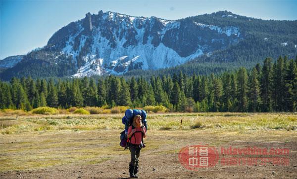电影之旅，热爱与自然美景的邂逅探索