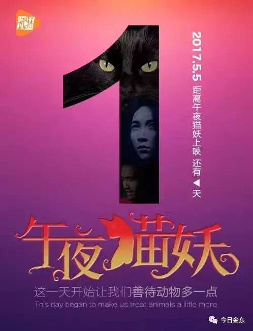 午夜频道最新热门免费娱乐，深夜娱乐新领域的探索