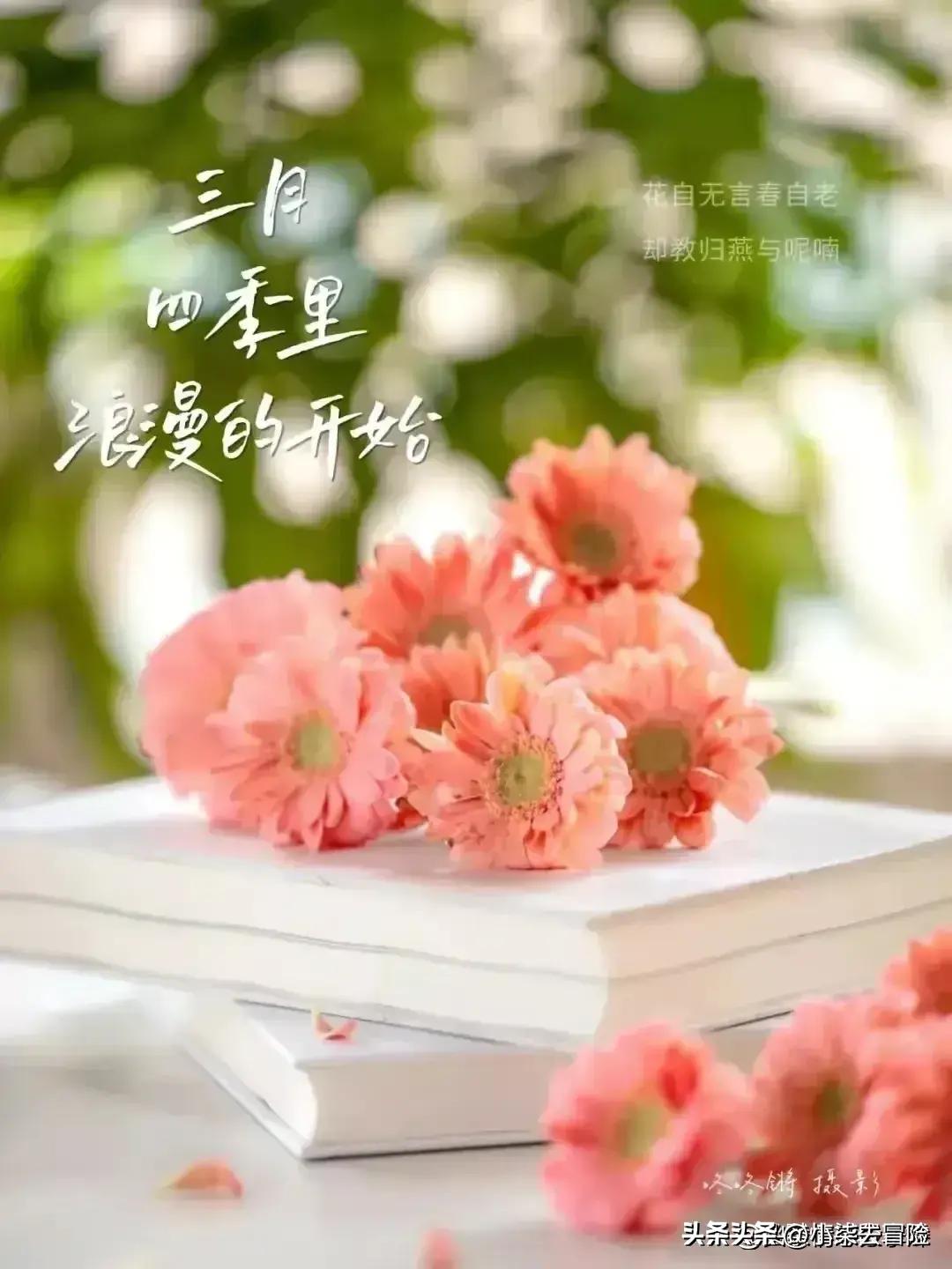 早安问候语精选集，温馨启程新一天