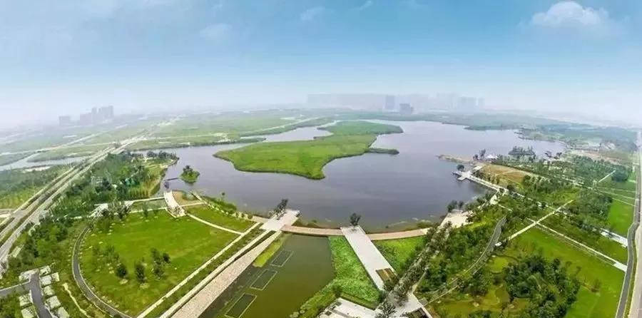 新坡湖最新多维度的观点分析
