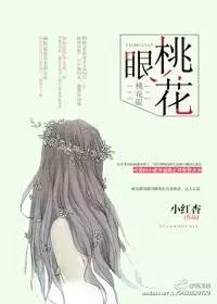冷轩校园情缘，缘分与情感的最新交织章节