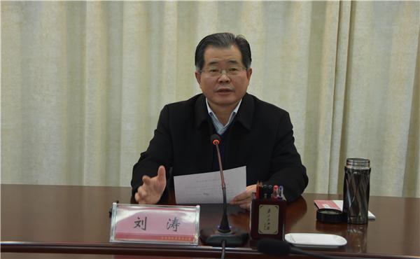刘涛带你领略科技魅力，最新高科技产品体验之旅