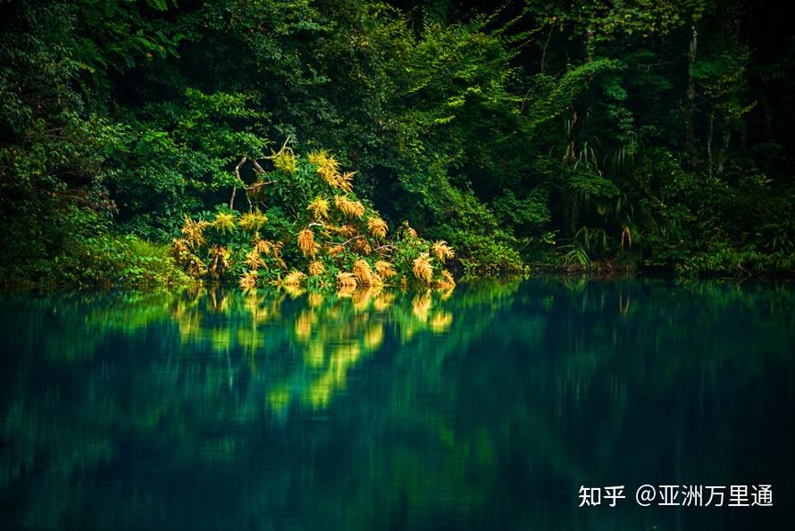 最新免费代理IP带你探索自然美景，启程内心平和之旅