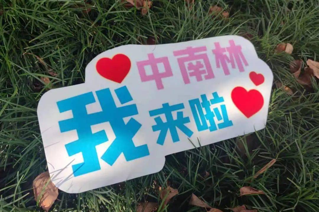 水泥最新招聘启航职业生涯新篇章
