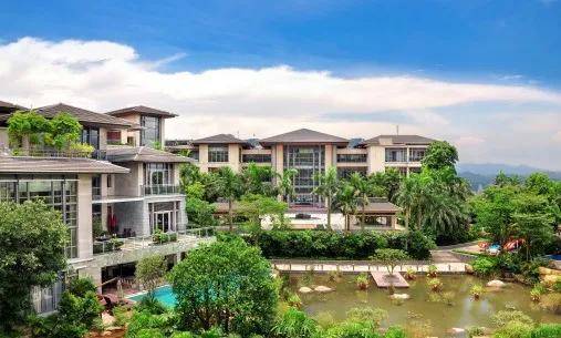 最新自住房深度解析与观点阐述，探索居住新选择