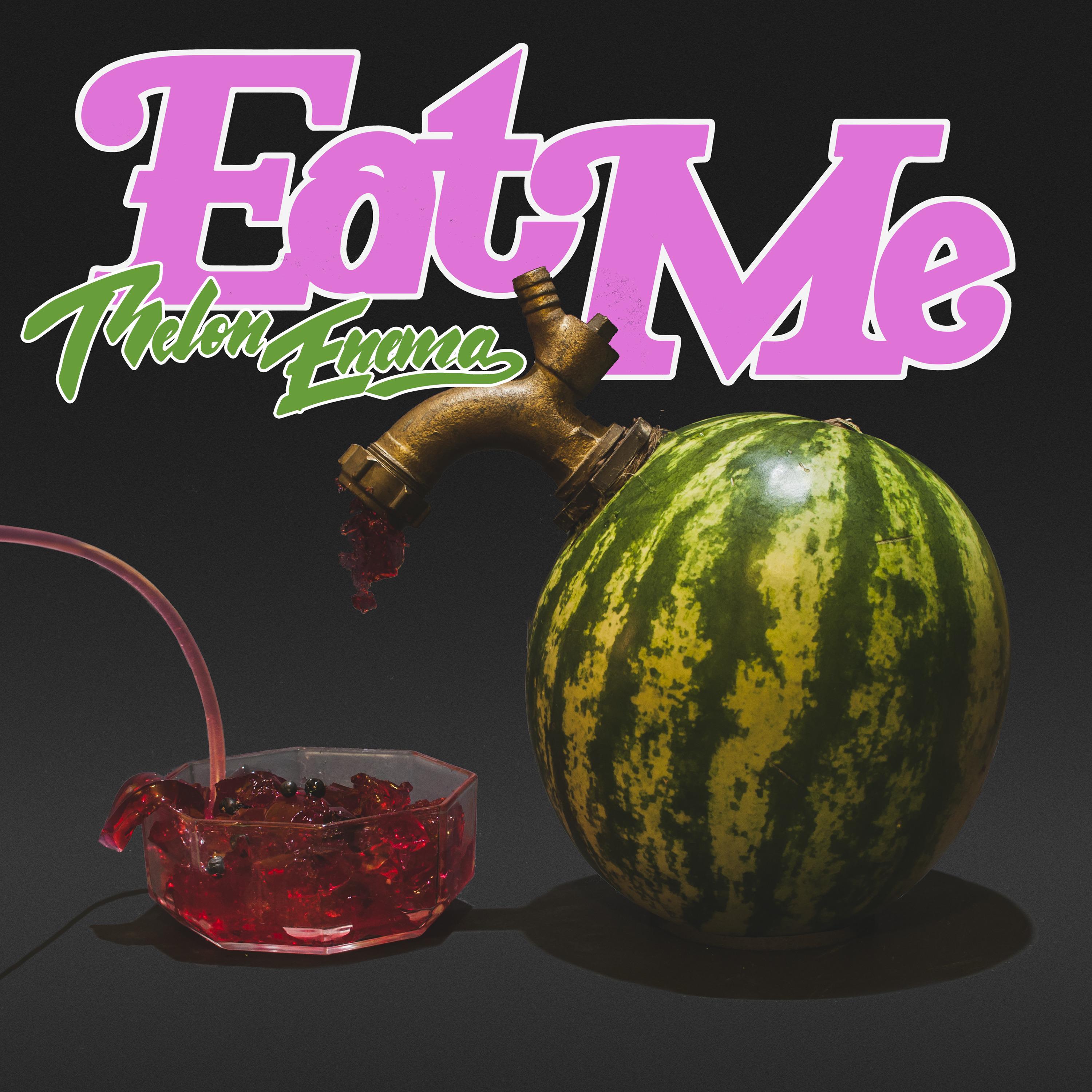Melon最新版详解，优缺点及我的观点分析