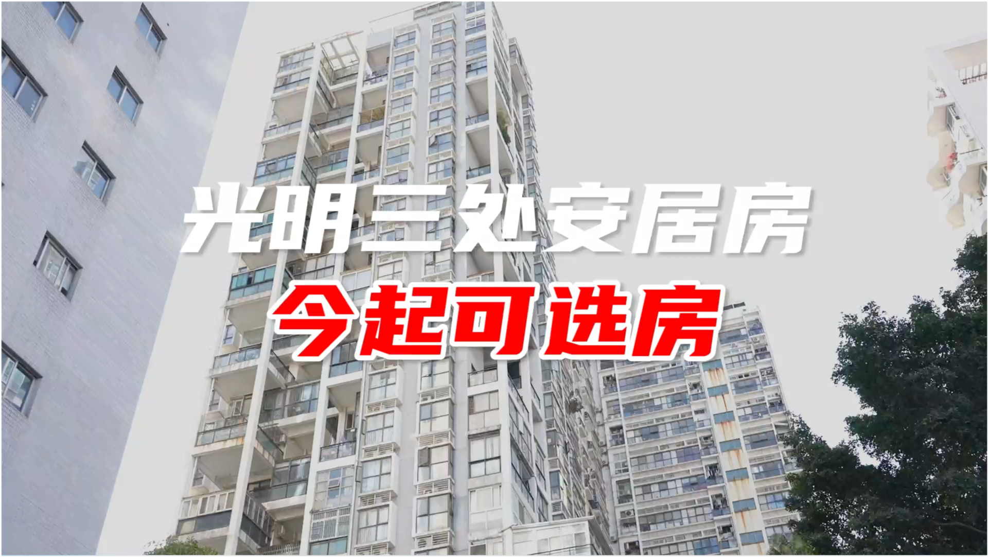 深圳安居房最新动态，家的温馨故事启程