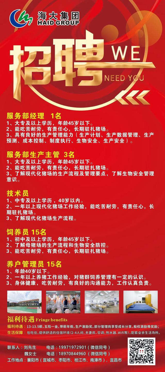 乐亭最新招聘信息,乐亭最新招聘信息，探索自然美景的旅行，寻找内心的平静