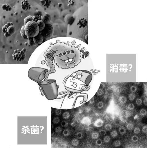 MUM最新，起源、重大事件与时代影响力解析
