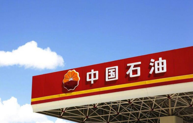 中国石油价格最新动态，小巷深处的秘密加油站与独特小店探秘