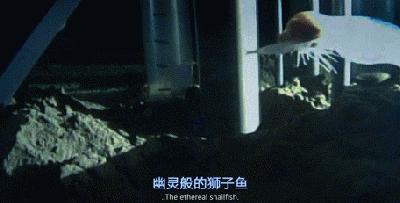 品牌环境系统 第160页