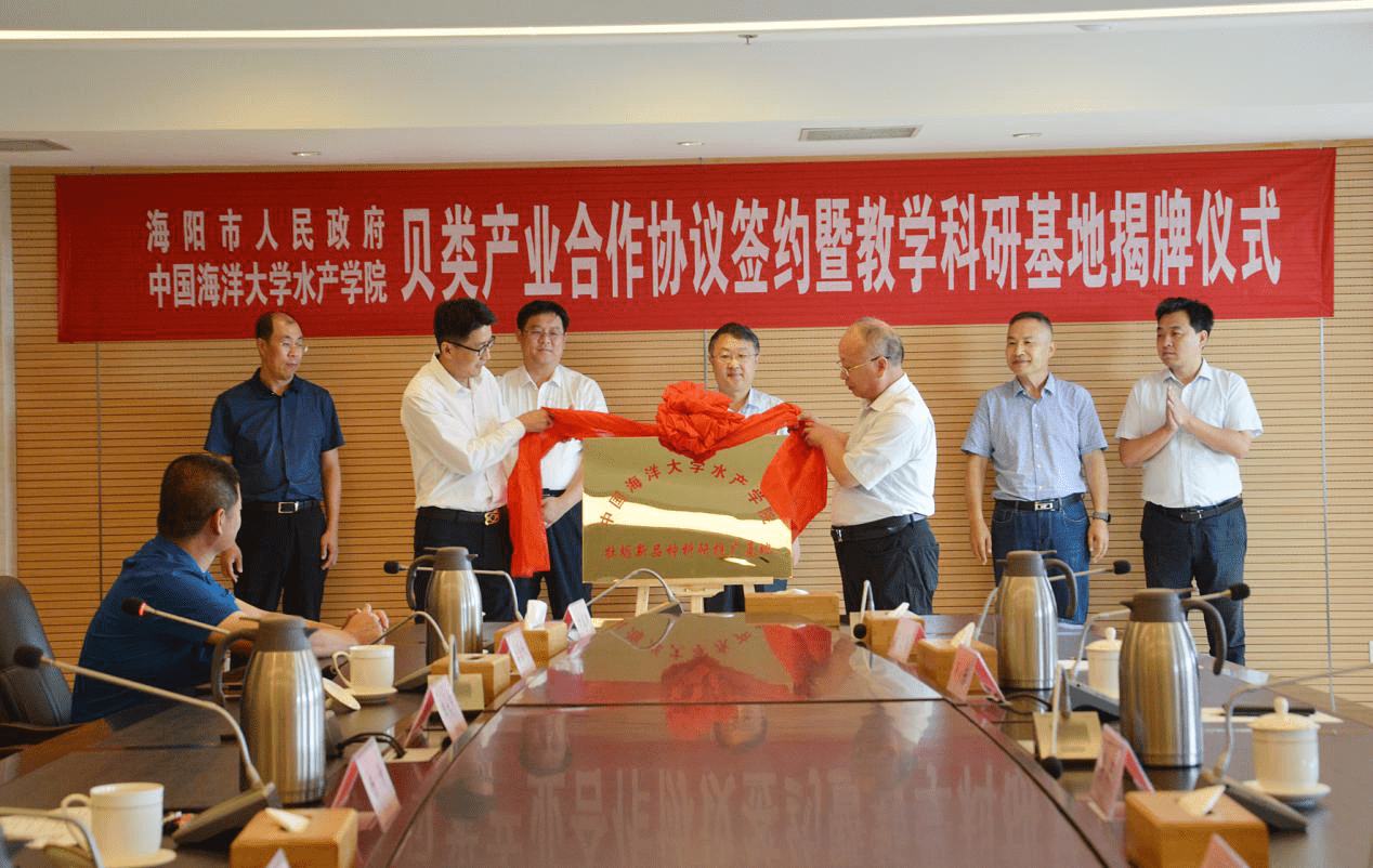 海阳市最新招聘信息概览与观点论述
