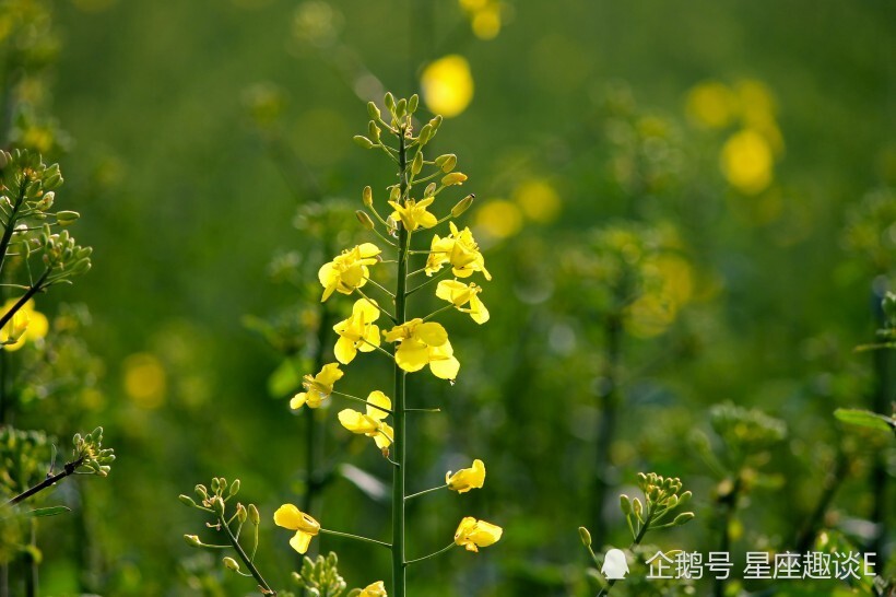 第623页
