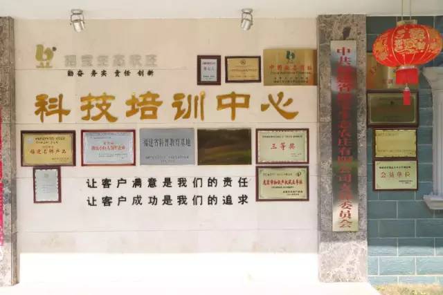 尚志招聘网最新招聘探秘，小巷中的职业宝藏等你来发掘！