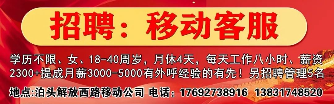 泊头招聘网最新招聘信息及其动态分析