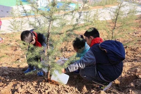 新能源汽车最新动态，绿色之旅的温馨故事与新闻更新