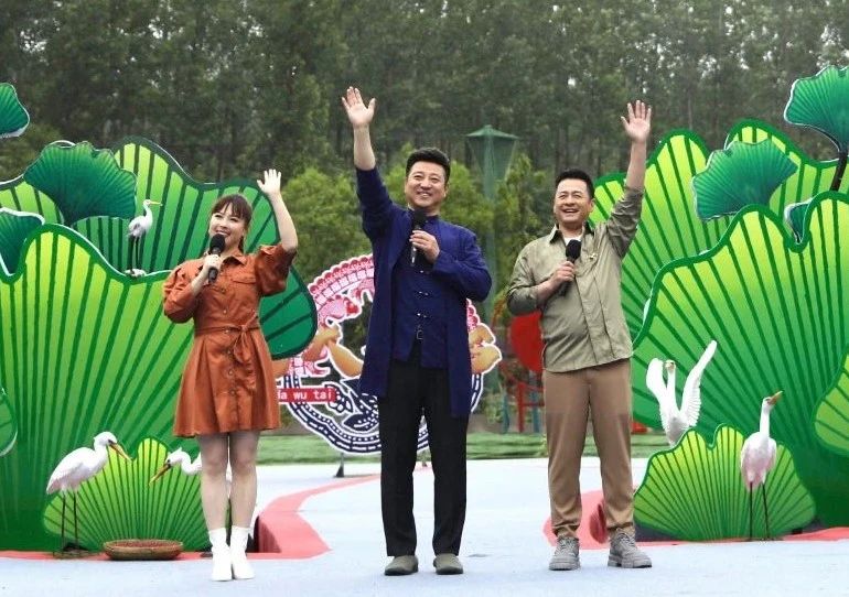 伊人香蕉视频在线更新，香蕉缘与温情时光的探索