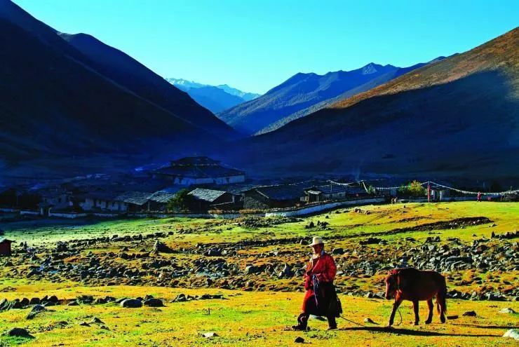白木优子最新探索之旅，自然美景中的心灵寻觅与平和之境