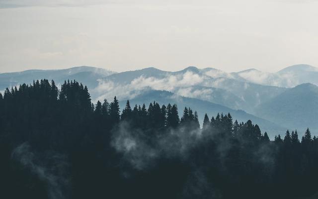 探索自然美景的治愈之旅，最新旅行体验分享