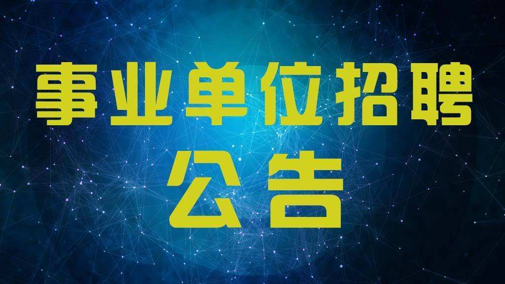 南陵招聘网最新招聘信息汇总，观点论述与求职指南