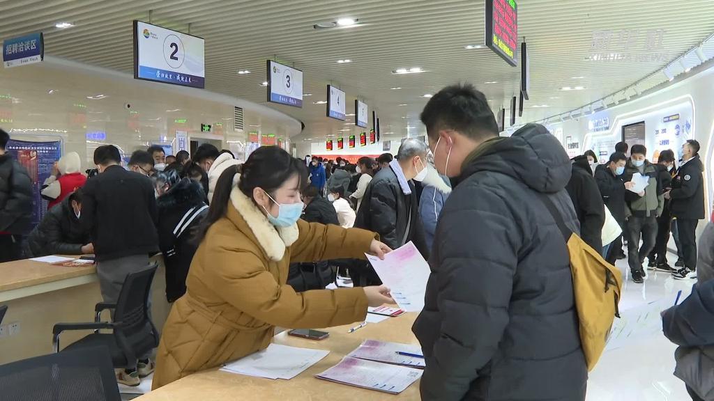 荣成信息港招聘奇遇，温暖日常的职业探索之旅