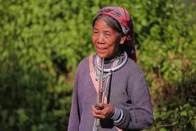 柳云龙最新动态揭秘,小巷深处的独特风情探秘之旅