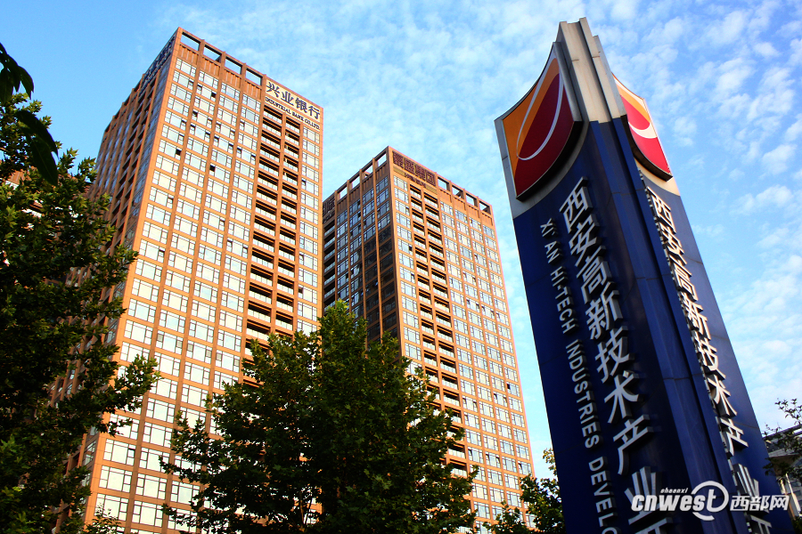 西安正茂公司最新动态发布📣🎉