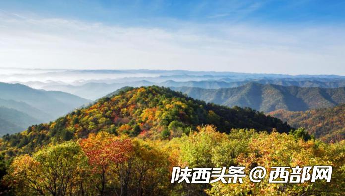 陕西林场改革最新动态，启程探寻自然美景的旅程