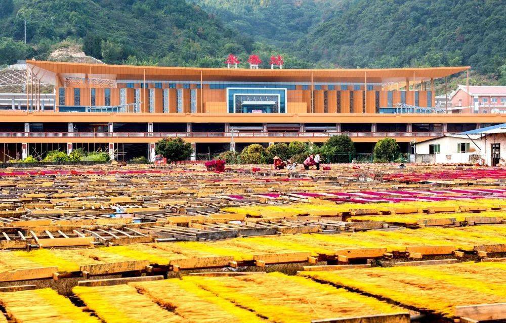 永泰站最新动车时刻表详解与观点论述